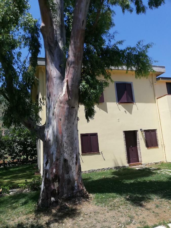 Agriturismo Le Folaghe Terracina Zewnętrze zdjęcie